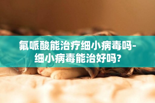 氟哌酸能治療細小病毒嗎-細小病毒能治好嗎?