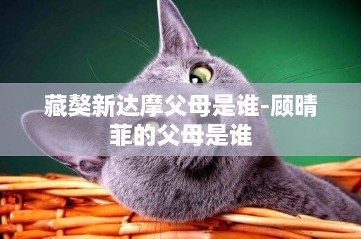 藏獒新達摩父母是誰-顧晴菲的父母是誰