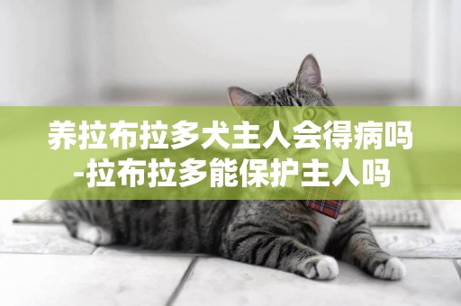 養拉布拉多犬主人會得病嗎-拉布拉多能保護主人嗎