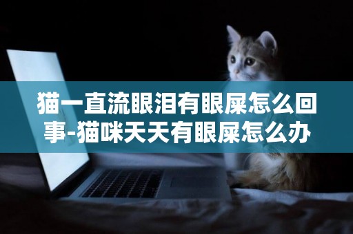 貓一直流眼淚有眼屎怎么回事-貓咪天天有眼屎怎么辦