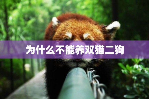 為什么不能養雙貓二狗