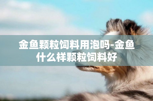 金魚顆粒飼料用泡嗎-金魚什么樣顆粒飼料好