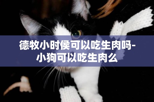 德牧小時侯可以吃生肉嗎-小狗可以吃生肉么