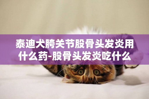 泰迪犬胯關節股骨頭發炎用什么藥-股骨頭發炎吃什么藥好