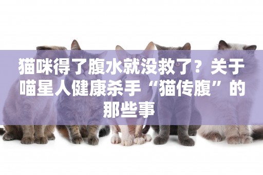 貓咪得了腹水就沒救了？關于喵星人健康殺手“貓傳腹”的那些事 