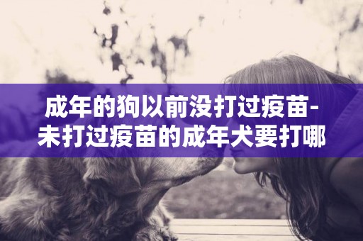 成年的狗以前沒打過疫苗-未打過疫苗的成年犬要打哪些疫苗針