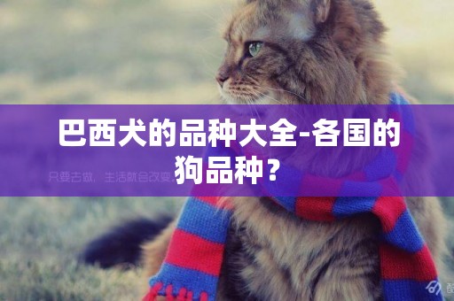 巴西犬的品種大全-各國的狗品種？