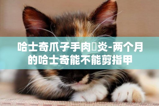 哈士奇爪子手肉發炎-兩個月的哈士奇能不能剪指甲