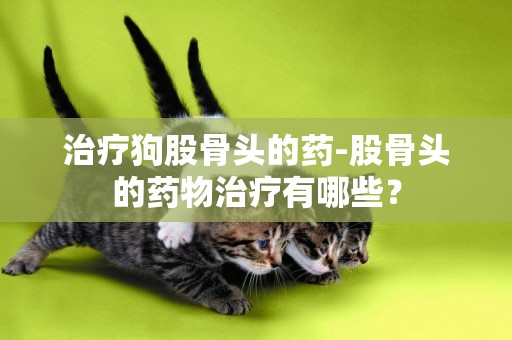 治療狗股骨頭的藥-股骨頭的藥物治療有哪些？