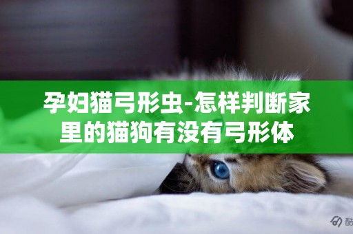 孕婦貓弓形蟲-怎樣判斷家里的貓狗有沒有弓形體