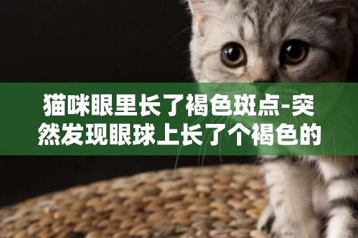 貓咪眼里長了褐色斑點-突然發現眼球上長了個褐色的小斑