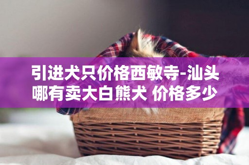 引進犬只價格西敏寺-汕頭哪有賣大白熊犬 價格多少