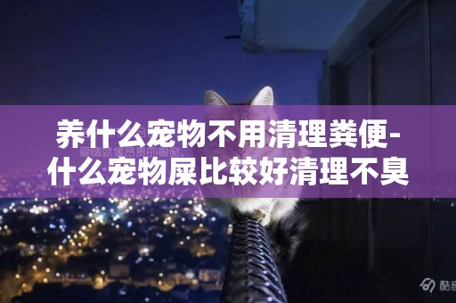 養什么寵物不用清理糞便-什么寵物屎比較好清理不臭？