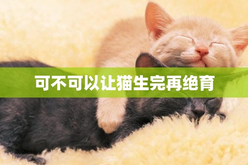 可不可以讓貓生完再絕育