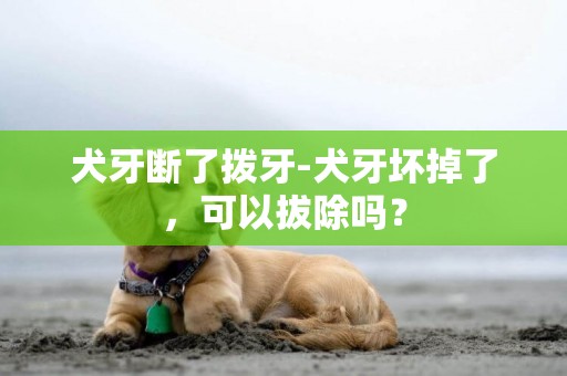 犬牙斷了撥牙-犬牙壞掉了，可以拔除嗎？