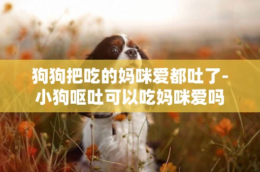 狗狗把吃的媽咪愛都吐了-小狗嘔吐可以吃媽咪愛嗎