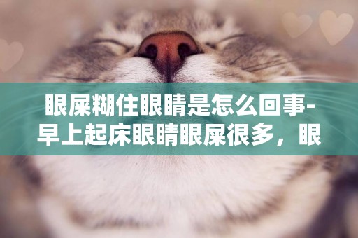 眼屎糊住眼睛是怎么回事-早上起床眼睛眼屎很多，眼睛有被糊住的感覺。