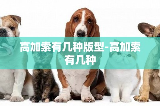 高加索有幾種版型-高加索有幾種
