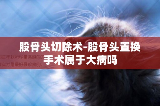 股骨頭切除術-股骨頭置換手術屬于大病嗎