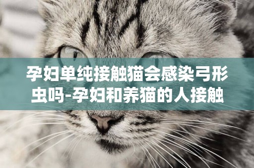 孕婦單純接觸貓會感染弓形蟲嗎-孕婦和養貓的人接觸是否會感染弓形蟲