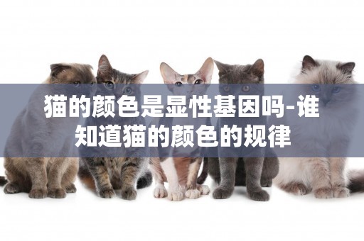 貓的顏色是顯性基因嗎-誰知道貓的顏色的規律