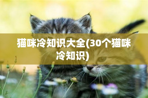 貓咪冷知識大全(30個貓咪冷知識) 