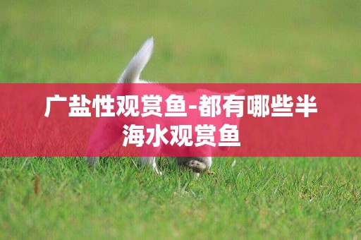 廣鹽性觀賞魚-都有哪些半海水觀賞魚