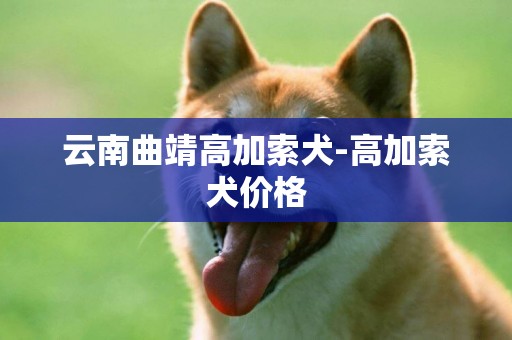 云南曲靖高加索犬-高加索犬價格