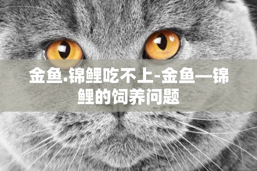 金魚.錦鯉吃不上-金魚—錦鯉的飼養問題