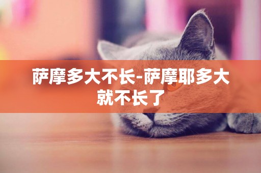 薩摩多大不長-薩摩耶多大就不長了