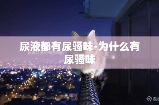 尿液都有尿騷味-為什么有尿騷味