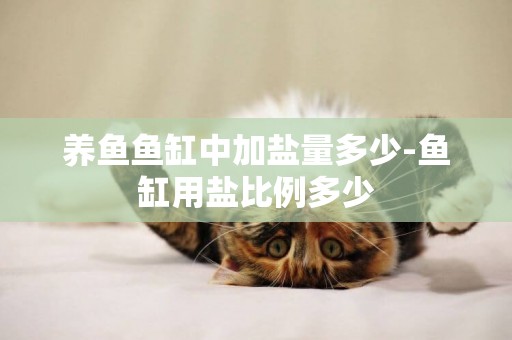 養魚魚缸中加鹽量多少-魚缸用鹽比例多少