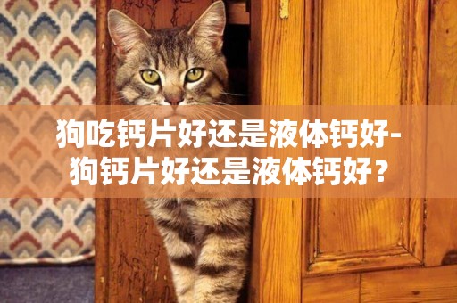 狗吃鈣片好還是液體鈣好-狗鈣片好還是液體鈣好？