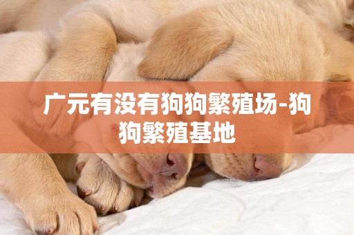 廣元有沒有狗狗繁殖場-狗狗繁殖基地