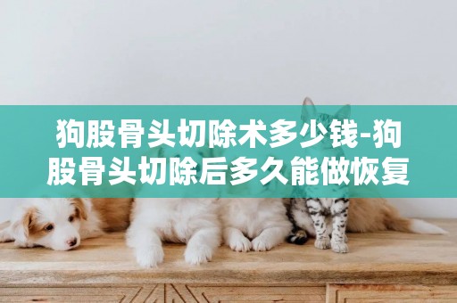 狗股骨頭切除術多少錢-狗股骨頭切除后多久能做恢復訓練？
