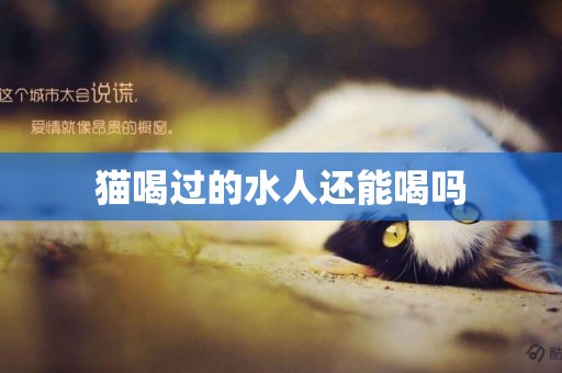 貓喝過的水人還能喝嗎