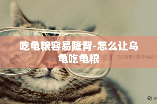 吃龜糧容易隆背-怎么讓烏龜吃龜糧