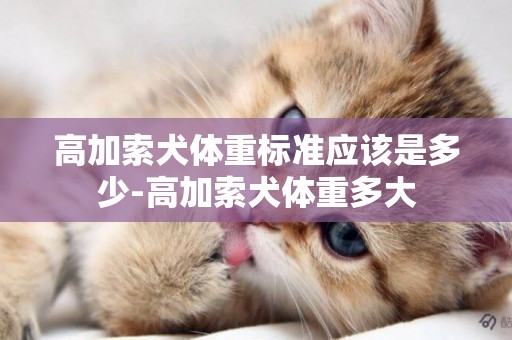 高加索犬體重標準應該是多少-高加索犬體重多大