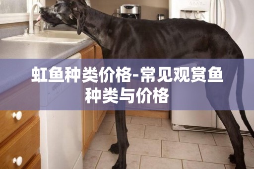 虹魚種類價格-常見觀賞魚種類與價格