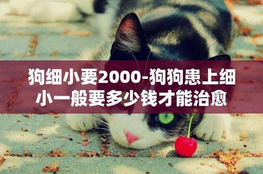 狗細小要2000-狗狗患上細小一般要多少錢才能治愈