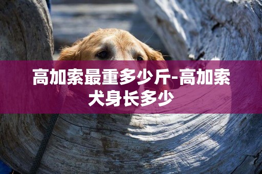 高加索最重多少斤-高加索犬身長多少
