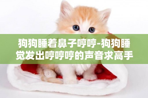 狗狗睡著鼻子哼哼-狗狗睡覺發出哼哼哼的聲音求高手指導