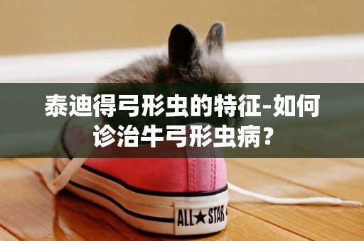 泰迪得弓形蟲的特征-如何診治牛弓形蟲病？