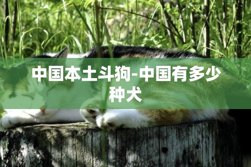 中國本土斗狗-中國有多少種犬