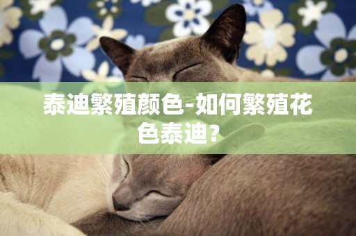 泰迪繁殖顏色-如何繁殖花色泰迪？