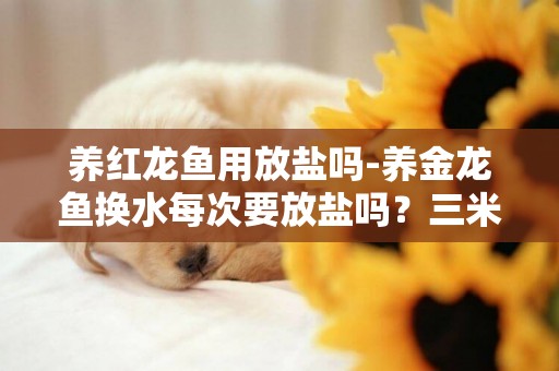 養紅龍魚用放鹽嗎-養金龍魚換水每次要放鹽嗎？三米魚虹求幫忙