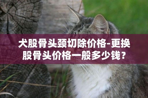 犬股骨頭頸切除價格-更換股骨頭價格一般多少錢？