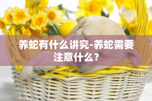 養蛇有什么講究-養蛇需要注意什么？