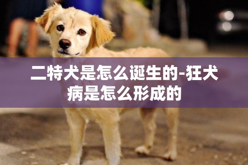二特犬是怎么誕生的-狂犬病是怎么形成的