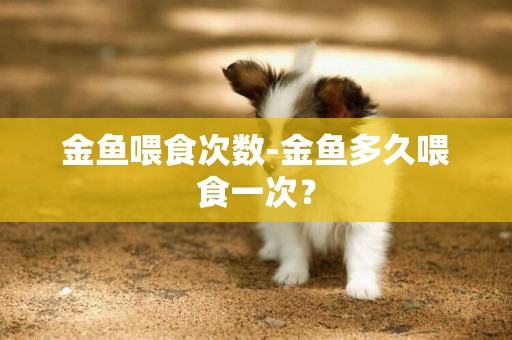 金魚喂食次數-金魚多久喂食一次？